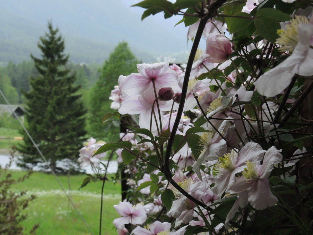 B&B Pranzaira Vicosoprano Экстерьер фото